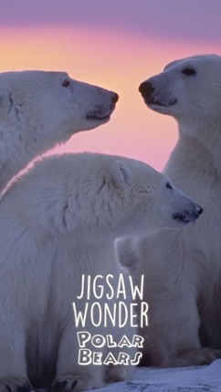 Jigsaw Wonder Polar Bear Puzzles for Kids Free screenshot