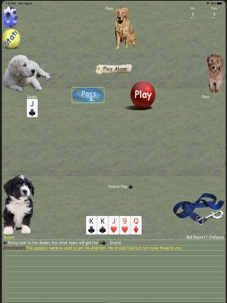 K9 Euchre screenshot