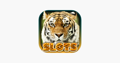 Wild Tiger Slots Machine Games Image