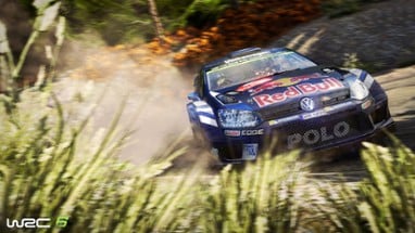 WRC 6 Image