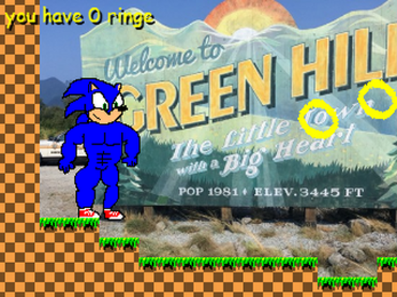 Sonic the Hedgehog: The Movie: The Game: The First Chapter Of The Buff Sonic Chronicles Image