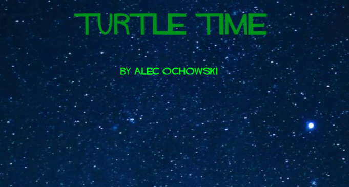 Games like Turtle Time