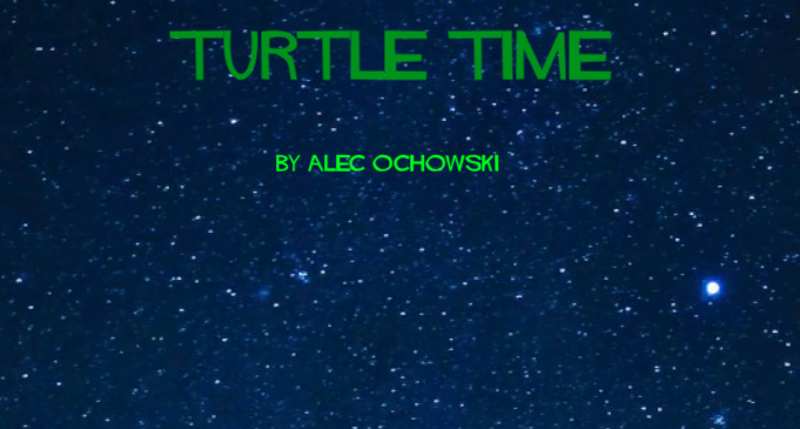 Turtle Time Game Cover