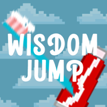 Wisdom Jump Image