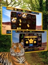 Wild Tiger Slots Machine Games Image