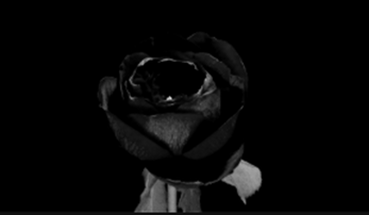 Woes Of Their Wretched. Image