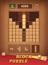 Wood Block 99 - Sudoku Puzzle Image