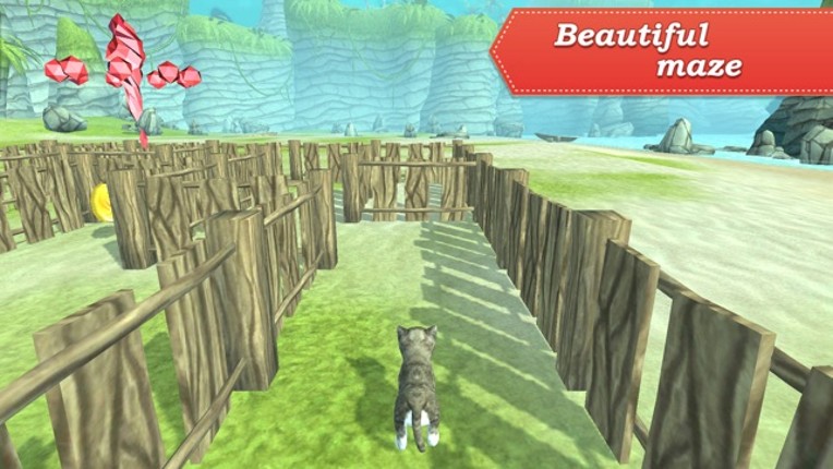 3D Pets in the Maze screenshot