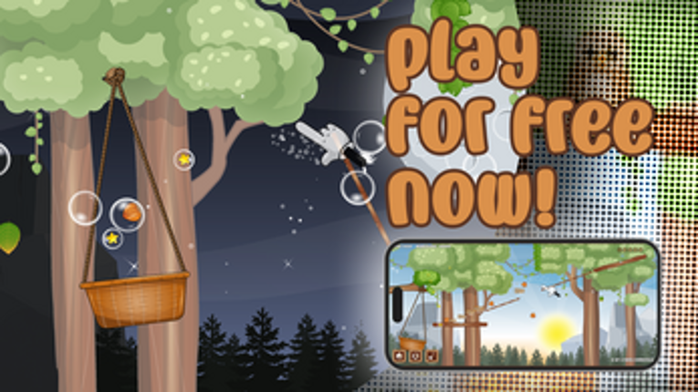 5 Nuts Quest Image
