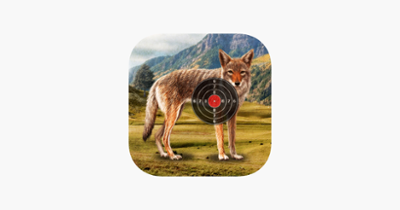 Coyote Target Shooting Image