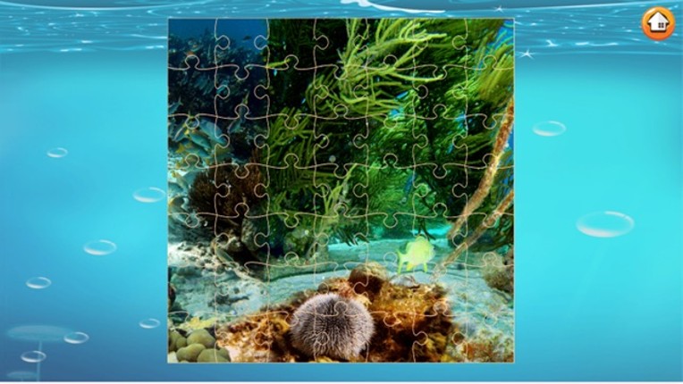 Finding Cute Fish And Sea Animal In The Cartoon Jigsaw Puzzle - Educational Solving Match Games For Kids screenshot
