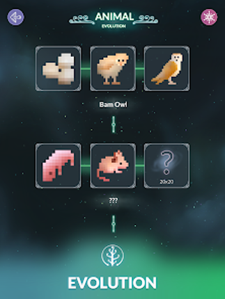 Life: Color Nonogram Image