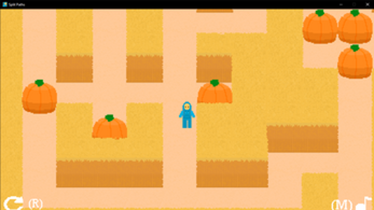 Split Paths Image