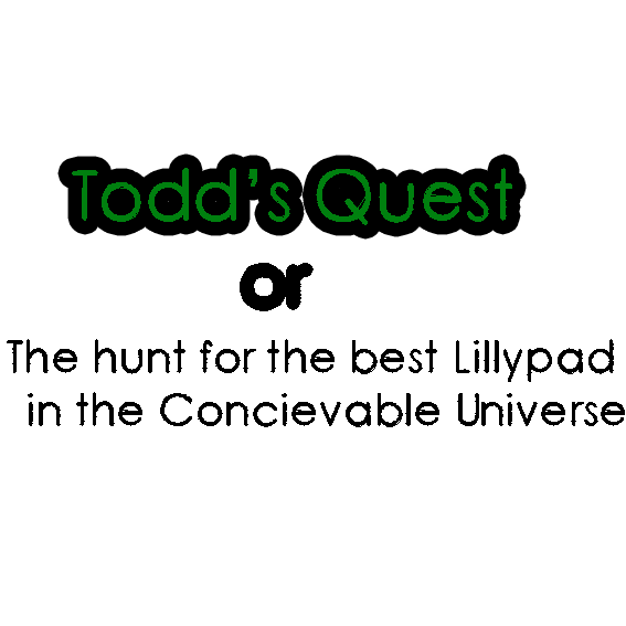 Games like Todd's Quest or, The Hunt for the Best Lillypad in the concievable universe.