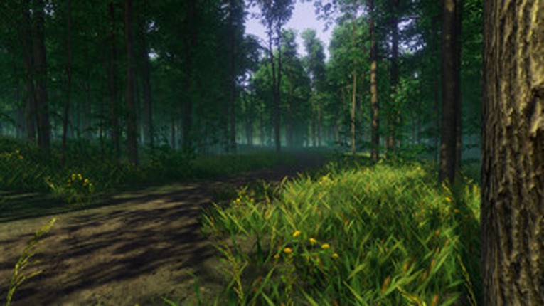 WanderWoods Image