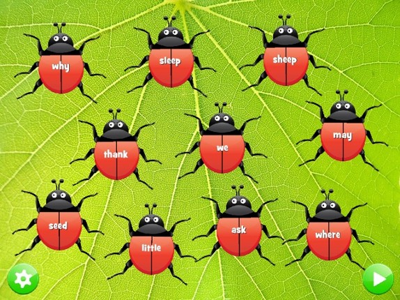 Ladybug Dolch Sight Words Image