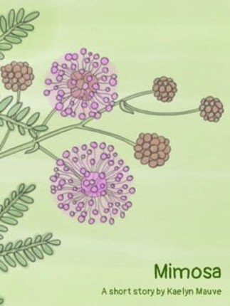 Mimosa Image