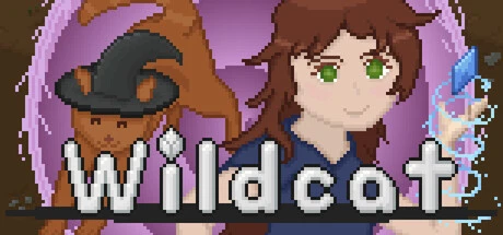 Games like Wildcat
