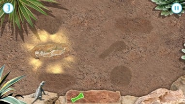 Andy's Great Fossil Hunt Image