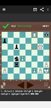 Fun Chess Puzzles screenshot