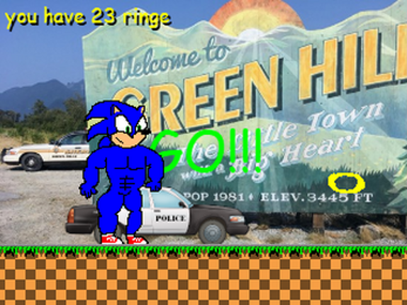Sonic the Hedgehog: The Movie: The Game: The First Chapter Of The Buff Sonic Chronicles screenshot