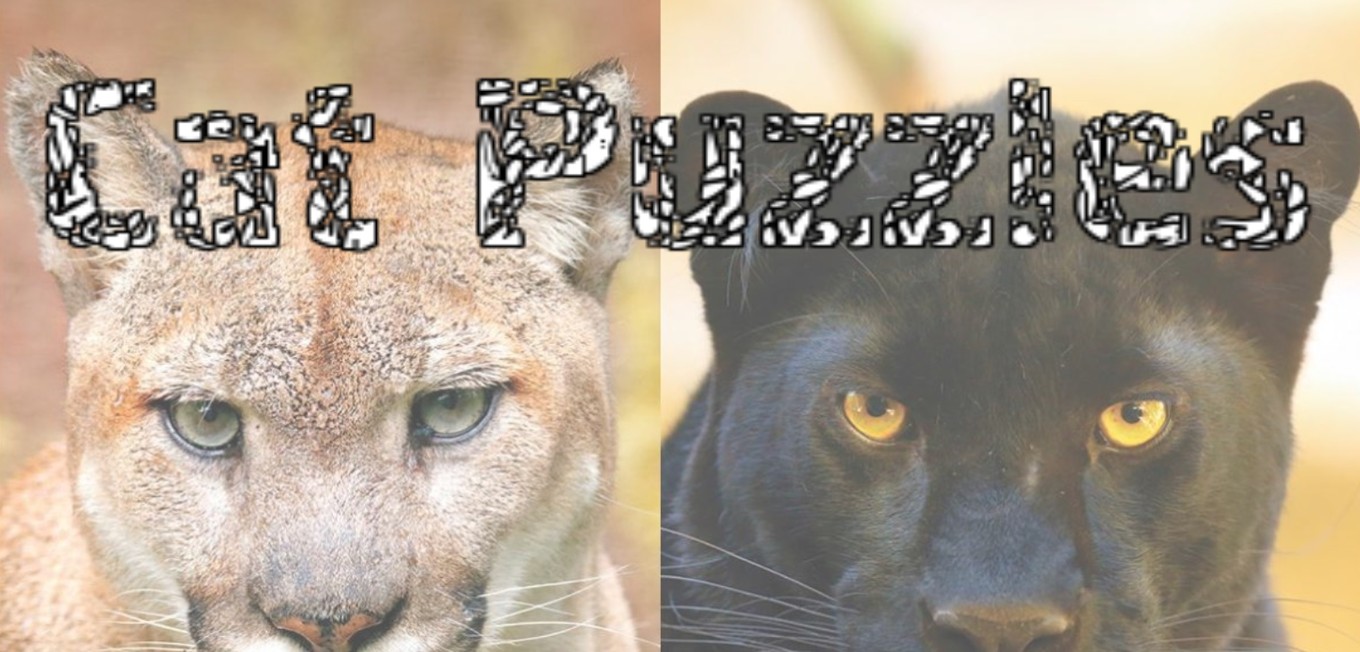 Games like Cat Puzzles