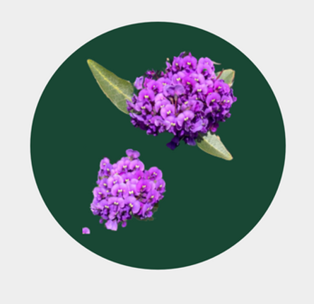 LOGAN: An Autobiographical Tabletop Game screenshot