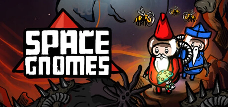 Space Gnomes Image