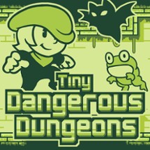 Tiny Dangerous Dungeons Image