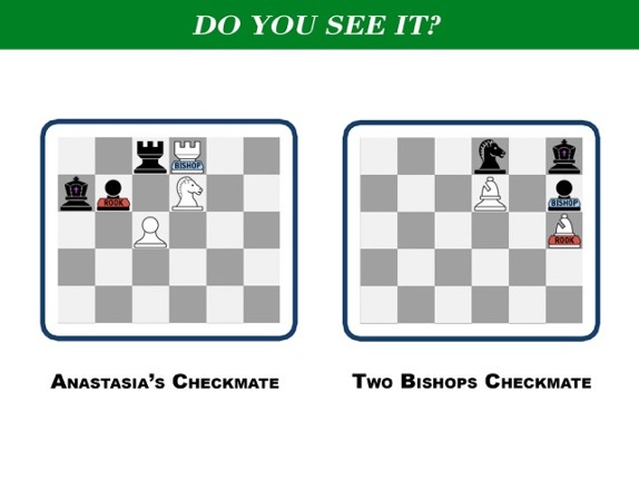 PlunderChess screenshot