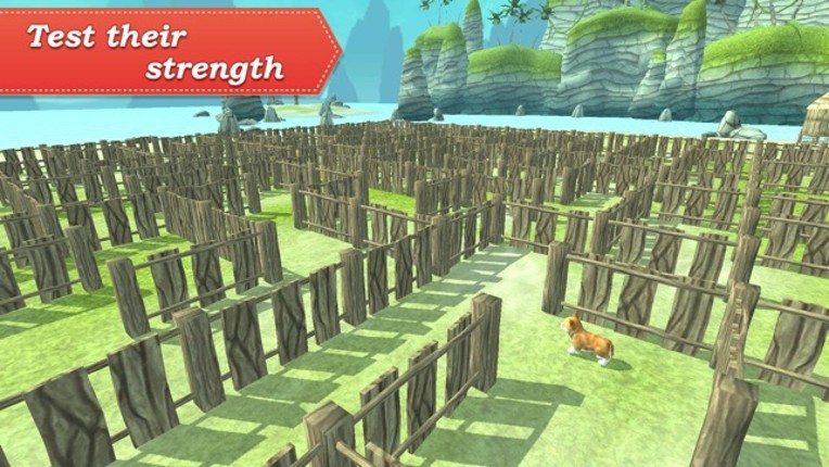 3D Pets in the Maze screenshot