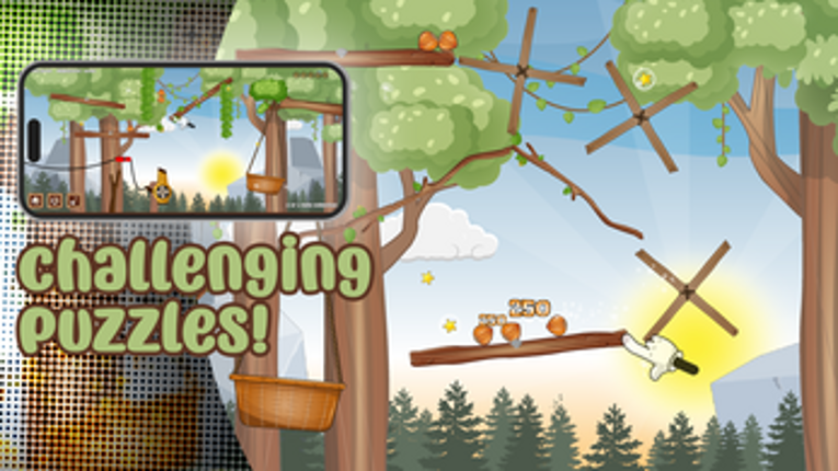 5 Nuts Quest Image