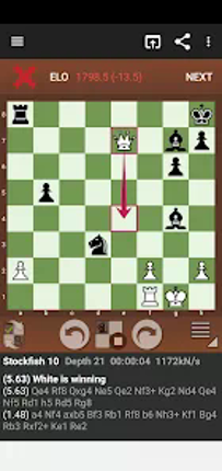 Fun Chess Puzzles screenshot