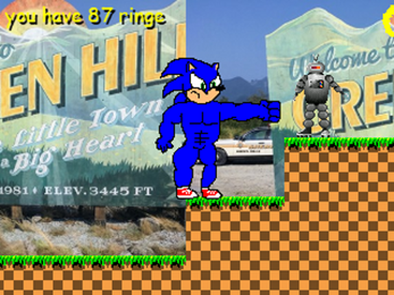 Sonic the Hedgehog: The Movie: The Game: The First Chapter Of The Buff Sonic Chronicles screenshot
