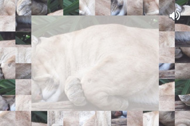 Cat Puzzles Image