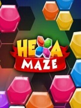 Hexa Maze Image