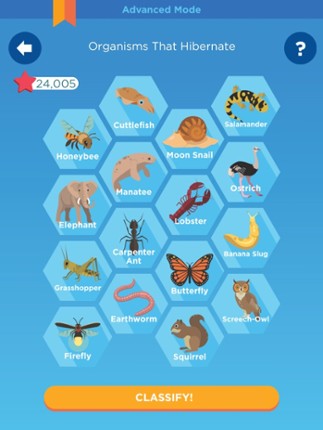 Classify It! Image
