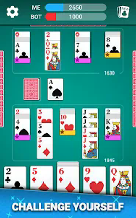 Canasta Card Game screenshot