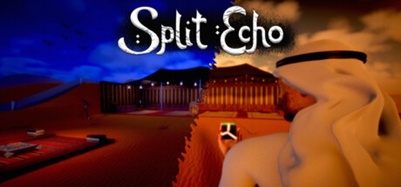 Split Echo Image