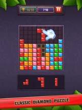 Jewel Block Puzzle Master Gem Image