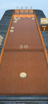Dutch Shuffleboard Image