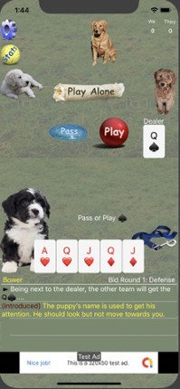K9 Euchre screenshot