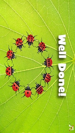 Ladybug Dolch Sight Words screenshot