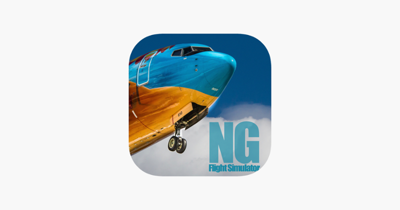 NG Flight Simulator Image