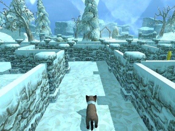 3D Pets in the Maze screenshot