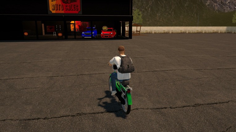 Delivery Life Simulator Image