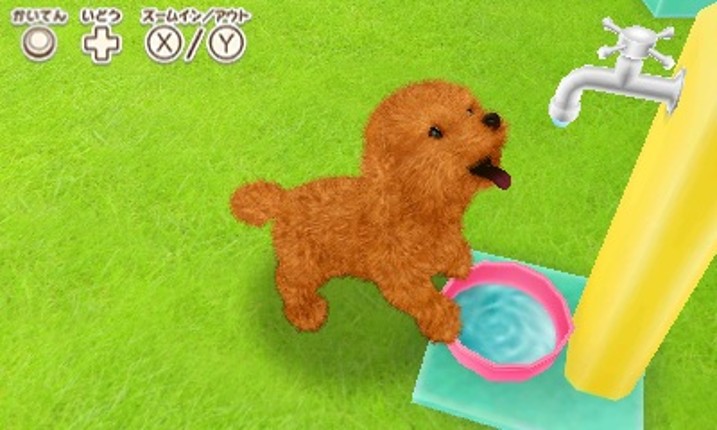 Kawaii Pet to Kurasou! Wan Nyan & Mini Mini Animal Image