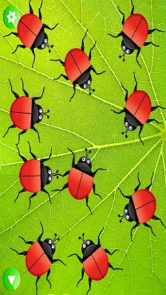 Ladybug Dolch Sight Words screenshot