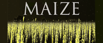 Maize Image