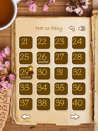 Real Kakuro 20x20 Free screenshot